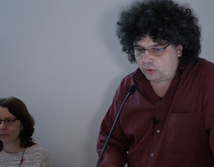 Romanian Roma at home: Mobility patterns, migration experiences, networks and remittances